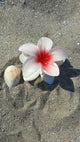 Nisrine Bouaouz