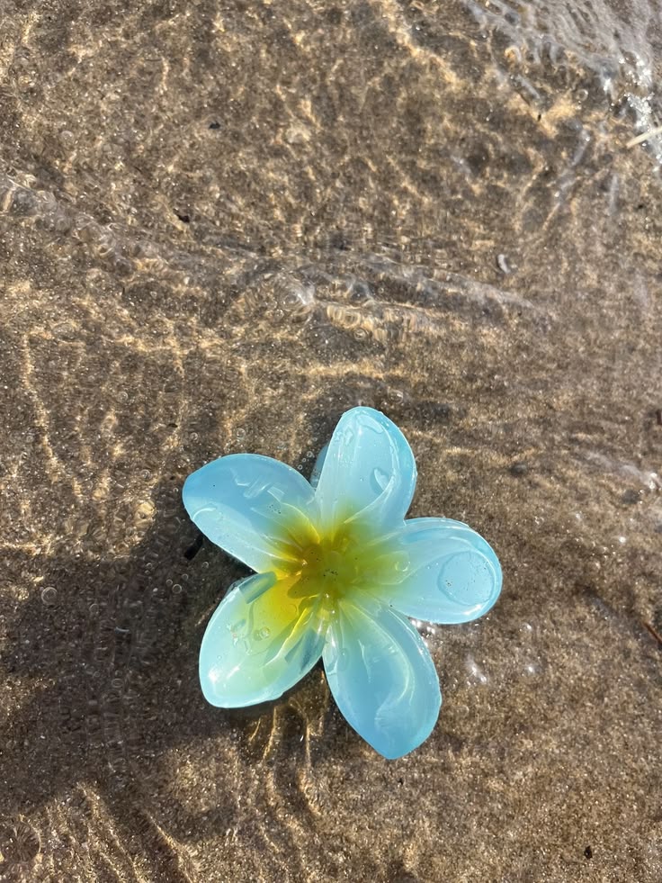Pince a cheveux fleur